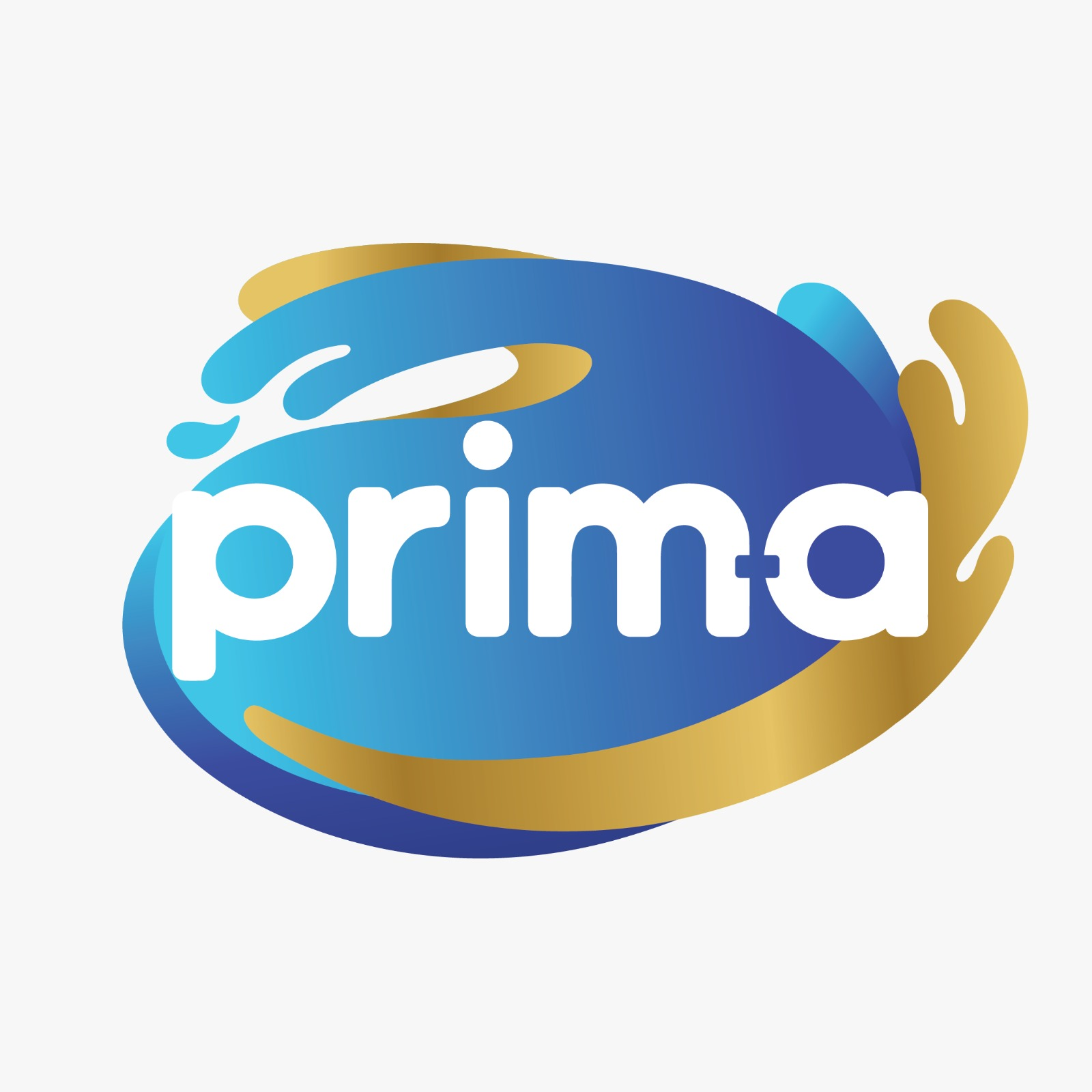 Silver Sponsor